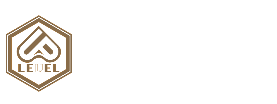 UP LEVEL TECHNOLOGY LTD